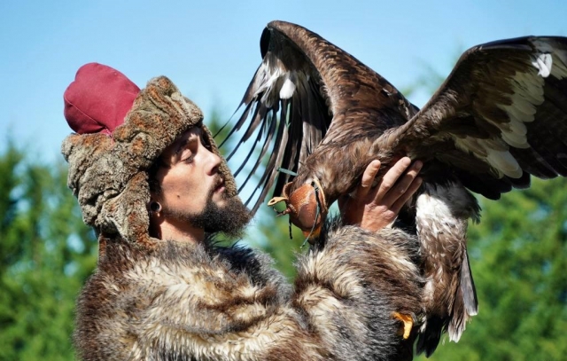 Representaciones con aves